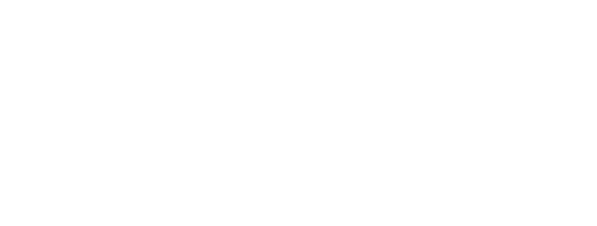 Sani MultiMedia
